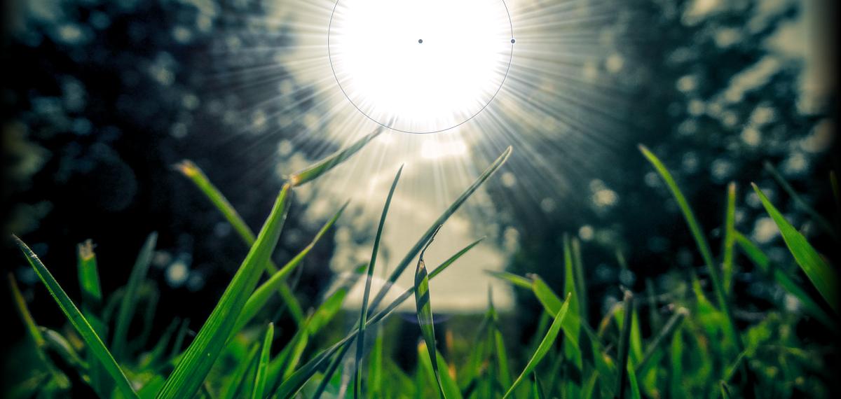 شكوى لصاحب الدعاء