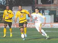 Dossier du professionnalisme