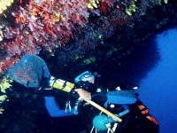 Les armateurs-corailleurs saluent la prochaine réouverture de la pêche au corail, réservés sur la forme de la concession