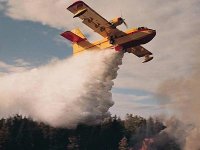 Un canadair pour surveiller le massif forestier de l'ouest du pays