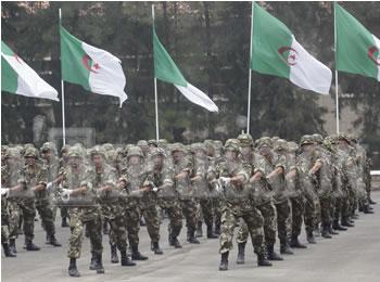 Alger s'implique dans la logistique