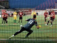 Ligue 1 (17e journée)