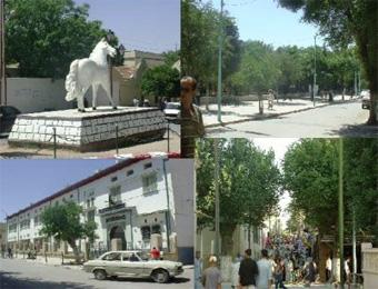 الوالي يشدد على ضرورة التكفل بالمواطنين في زيارة قادته إلى دائرة عين مخلوف بقالمة