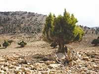 Qui a donné l'autorisation d'exploitation '