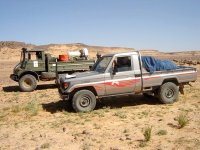 Relance du dispositif de prévention et lutte antiacridienne à Bechar