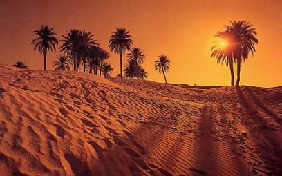 Une journée d'information organisée prochainement à Varsovie