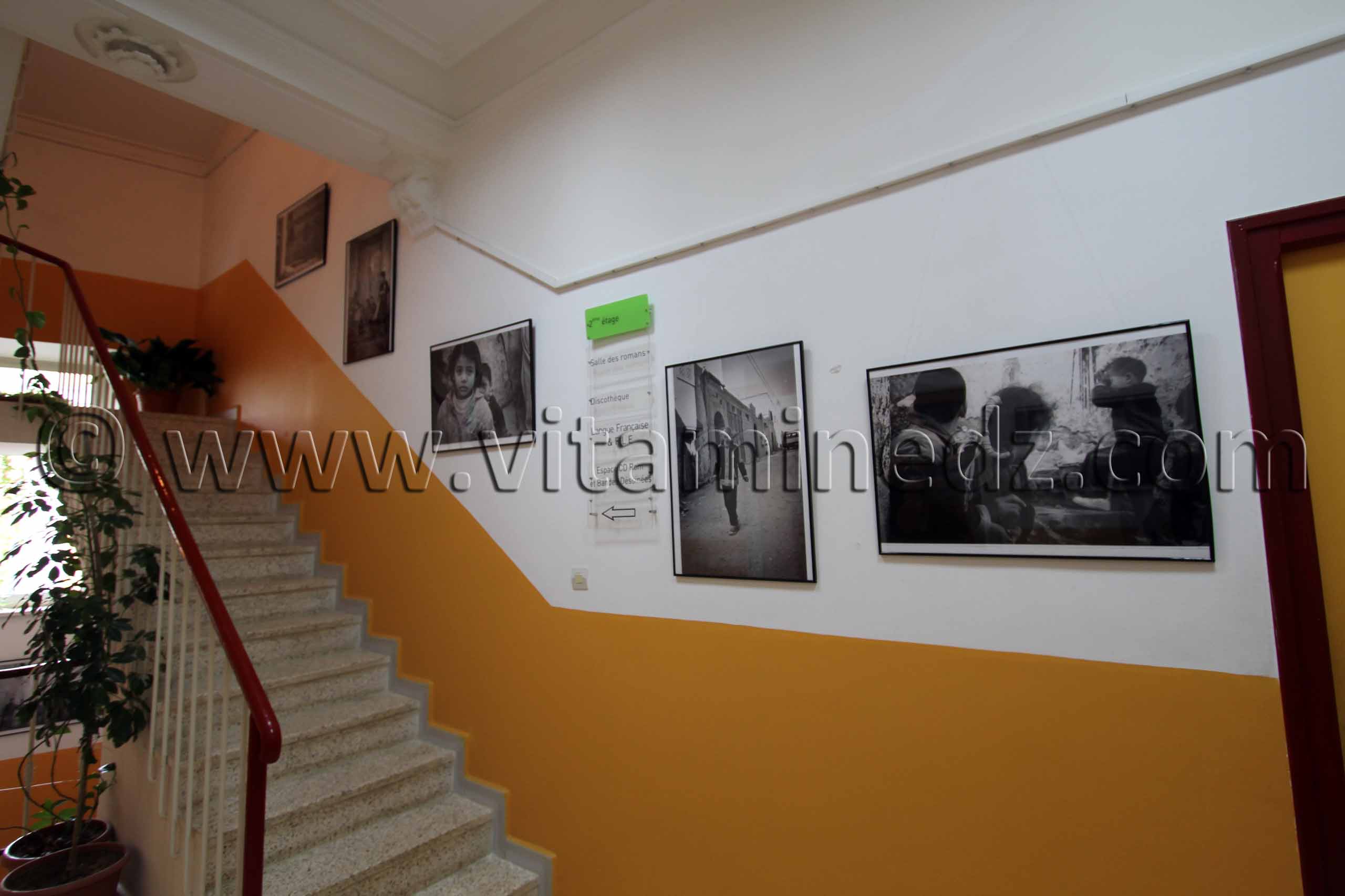 Arrêt sur image, celle de nos rues