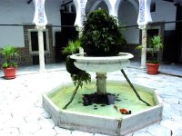 El Bahdja campe au pied du Djurdjura