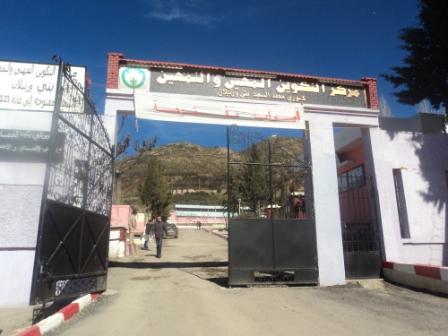 Le CFPA Béni Ourtilane organise une exposition sur l'apprentissage