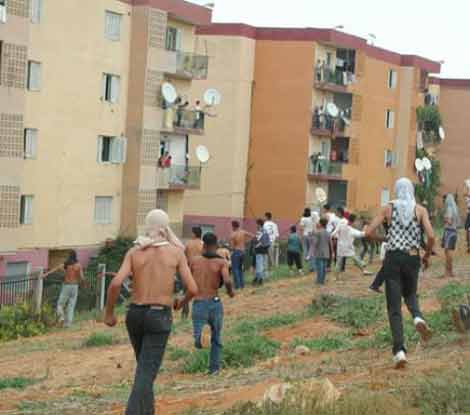 مقتل مواطن وإصابة 16 في شجارين جماعيين بأم البواقي