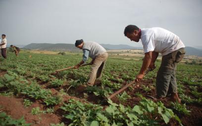 Le budget accordé au secteur de l'agriculture sera-t-il maintenu '