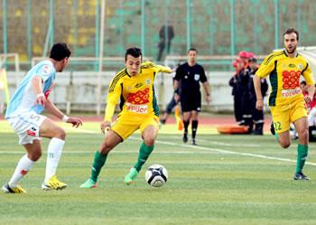 Des Canaris en perte de couleur