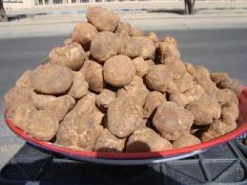 الترفاس بمليون سنتيم للكيلوغرام الواحد بالأبيض سيدي الشيخ