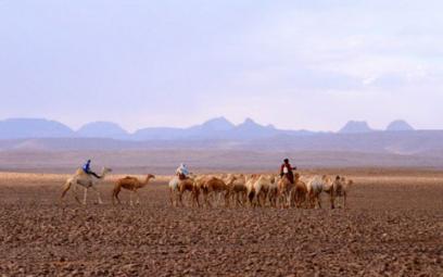 Les statuts des parcs culturels fixés