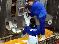 Une production de plus de 90 millions de litres de lait par an