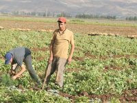 Une progression remarquable