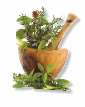 Gagner sa vie en rendant service