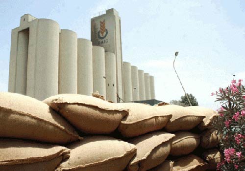 Algérie - Légère baisse des importations des céréales en 2013