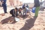 Plantation de 2.000 arbustes à Sidi Makhlouf
