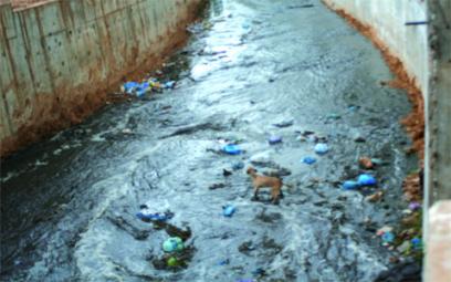 31 milliards de dinars pour sauver El Oued