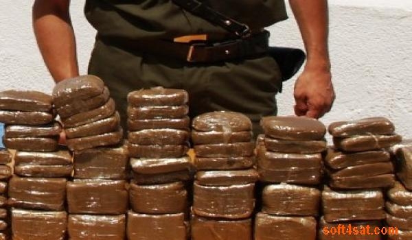 حجز أكثر من 13 كغ من المخدرات بالبليدة