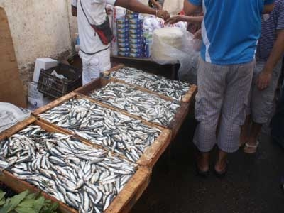 سماسرة يفرضون سيطرتهم على الإنتاج السمكي بعنابة