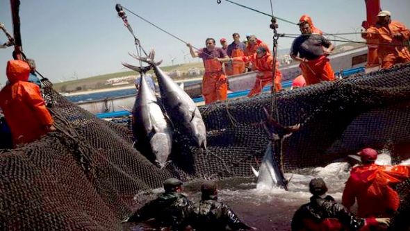 Les gouvernements appelés à signer la convention maritime internationale de 2006