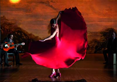 Spectacles, conférences et expositions