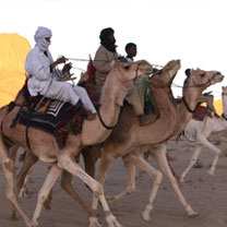 Festival du dromadaire à Tamanrasset