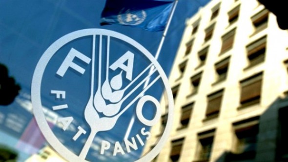 L'Algérie parmi les rares pays du MENA ayant réduit la sous-alimentation