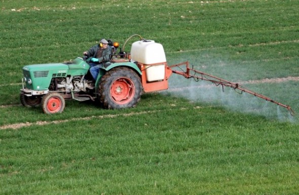 Journée de vulgarisation sur l'utilisation des pesticides à Maârif (M'sila)
