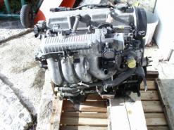 حجز أزيد من 800 كلغ من السمك الفاسد على الحدود بسوق أهراس