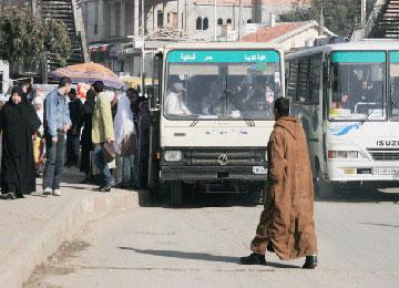 الناقلون الخواص بوادي النجا يعتصمون أمام مديرية النقل بميلة