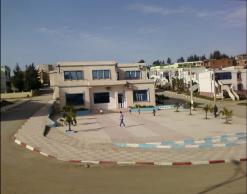 إحالة ملف المستثمرين غير المستغلين بسكيكدة على العدالة