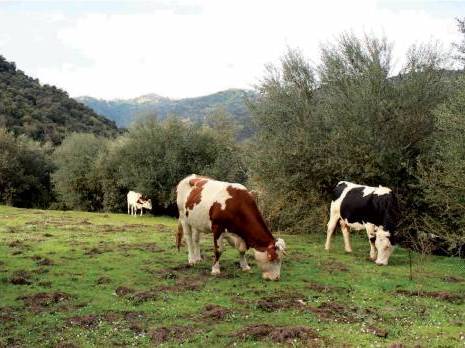 Les éleveurs en difficulté