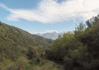 Deux personnes blessées dans l'explosion d'une bombe à tizi Ouzou