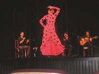 Spectacle fabuleux du groupe espagnol Amalgama compania flamenca