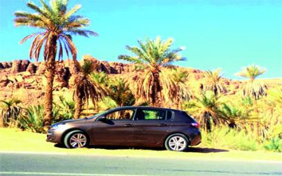 La nouvelle lionne rugit dans la Saoura