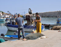 Alger / Il y a urgence à les réaménager