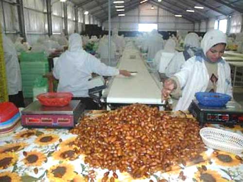 Pour éviter les chocs extérieurs à l’économie algérienne Les experts préconisent une compétitivité hors hydrocarbures