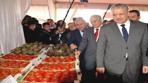 Un programme complémentaire de près de 31 milliards de dinars pour la wilaya de Tipasa