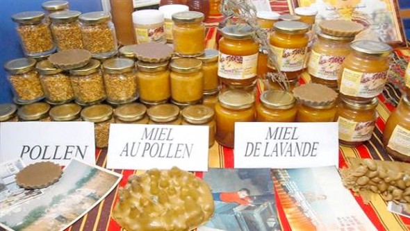 Une production de 358 quintaux de miel enregistrée en 2013 à Ain Temouchent