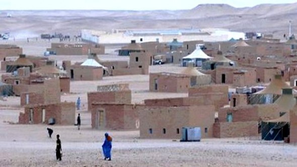 Une délégation parlementaire algérienne effectue une visite aux camps de réfugiés sahraouis