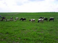 Que devient le projet de la réserve pastorale de 120.000 hectares '