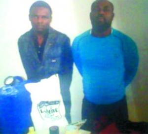 تضم أفارقة ويمتد نشاطها من عين الدفلى إلى الغرب الجزائري                    تفكيك عصابة وضبط 300 ألف أورو مزورة