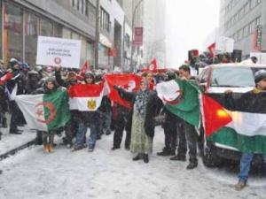Montréal : Les Algériens réduits à jalouser la révolution tunisienne !