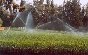 ألف هكتار من الأراضي الفلاحية ستسقى بمياه الصرف الصحي المعالجة