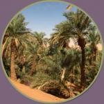 L’écotourisme à Adrar
