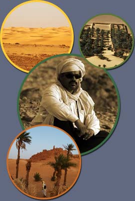 Circuits & excursions à Adrar