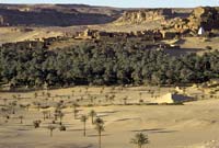 L'environnement à Adrar